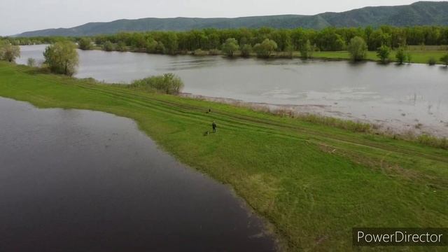 Вместе весело скакать по просторам!!!