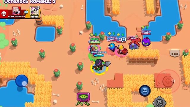 жёсткий тим