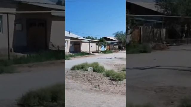 КАУЫН ГАРБЫЗ ПИСИП АТЫР КАЙТЫНЛАР АУЫЛГА. АУЫЛДЫ САГЫНГАНЛАР УШЫН.