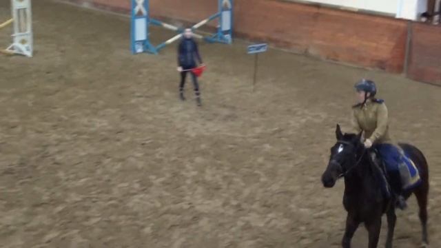 Конкур 23 февраля. РКШ Гусар. 60 см