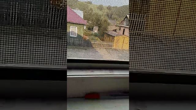 Приколы над людьми! Накидали не настоящих купюр!!!💰