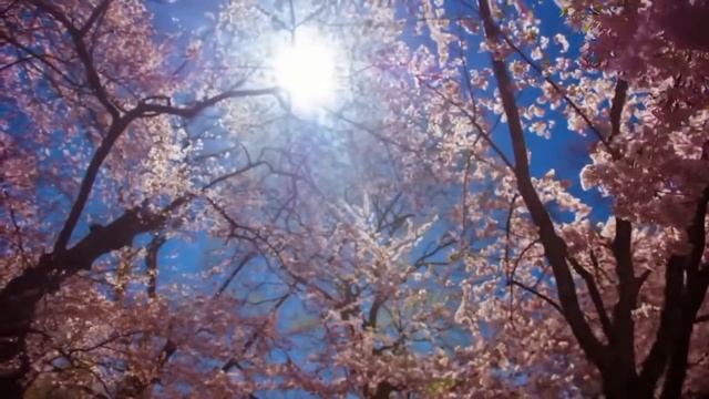 Целуй ласкай