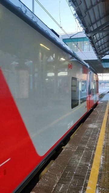 Две ласточки на станции Соколиная гора #рекомендации