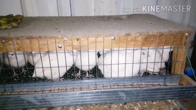 Ох не лёгкая эта работа!