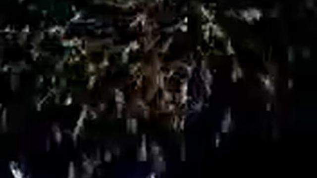 феерверк Мы верим в команду 2013.mp4