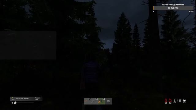Стреляем по кепкам на берегу в DayZ