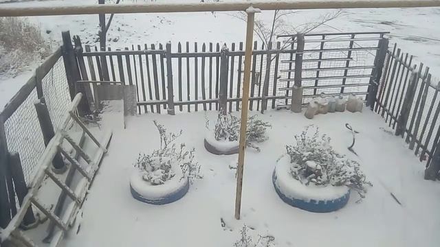 Красота не вечна