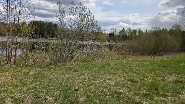 Диск-гольф парк 