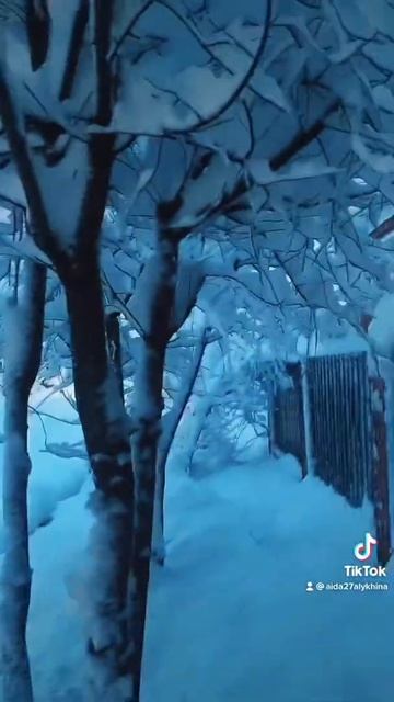 Зимушка -Зима