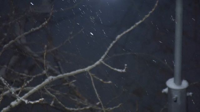 А снег идёт снег идёт по щекам моим бьёт, бьёт. Болею очень температурен, стою и жду тебя как дурен