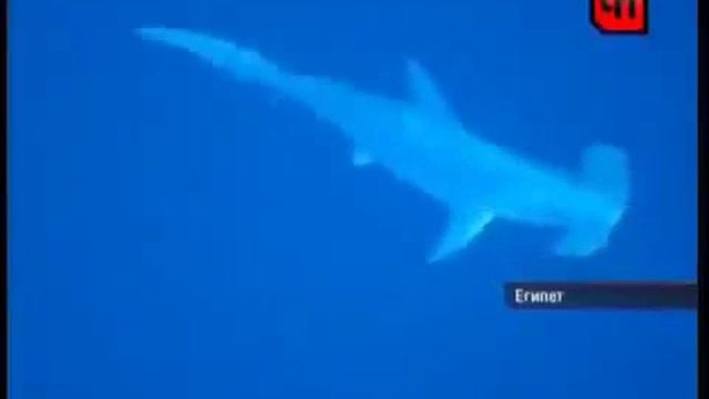 Ca71158388401e6bc96a62fd3d21b6e8