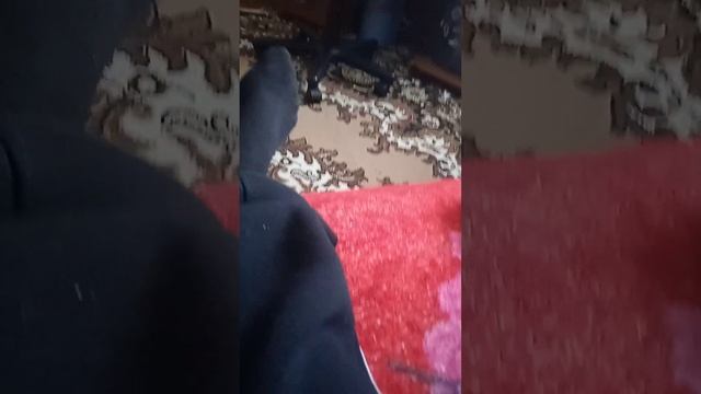 23 декабря 2022 г.