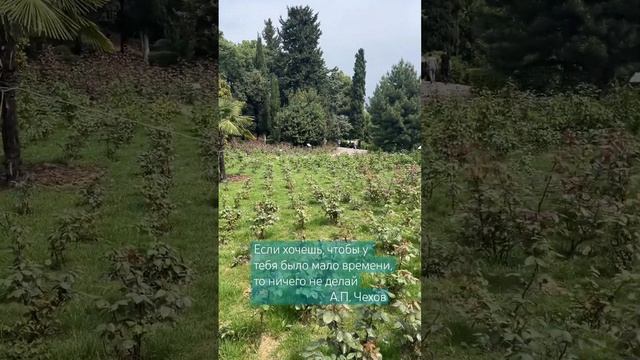 #крым #ливадия #время #фраза