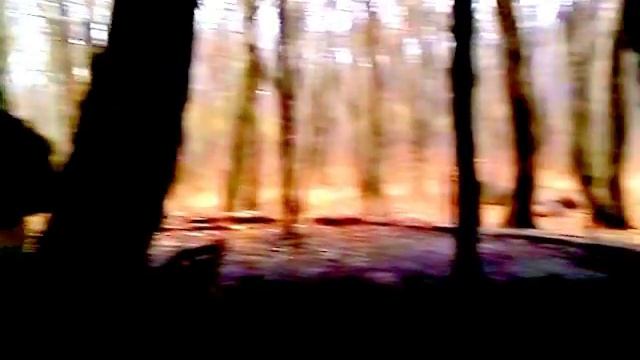 Копия видео 