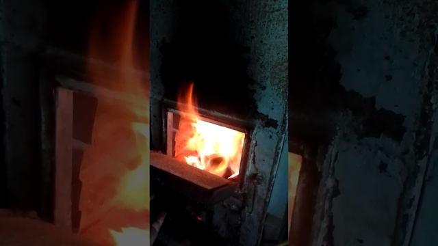 7 августа 2024 г.