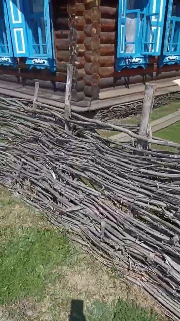 Сростки, 2023