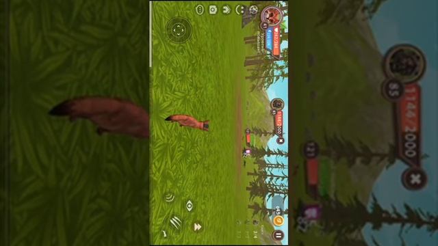 Охота в Далинко гигантов :•