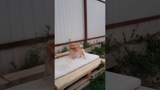 30 июня 2017 г.