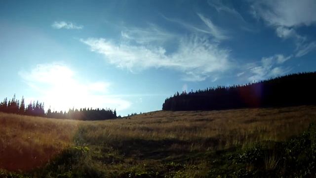 Карпати: Плн.Ротул, за 1.5км від г.Ротило(1483м). 10-та наша турстоянка. Варварство.