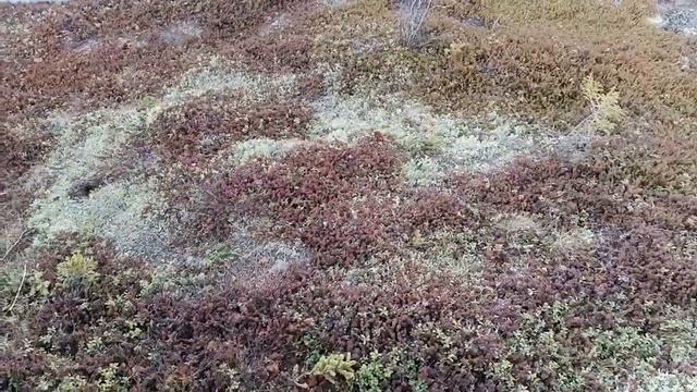 1e80e2d15530bfa45f14fdcfc34d217e