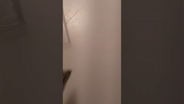 Моя коллекция валют.