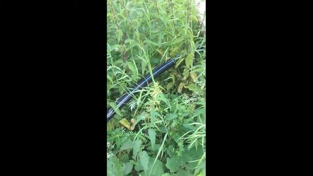 МУП ЖКХ Сюмсинское