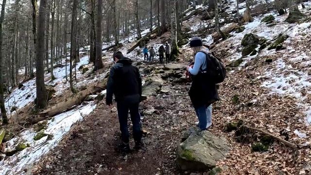 Гора Фельдберг. Шварцвальд.