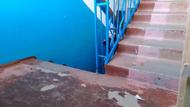 От первого лица коротко метражный фильм день сурка