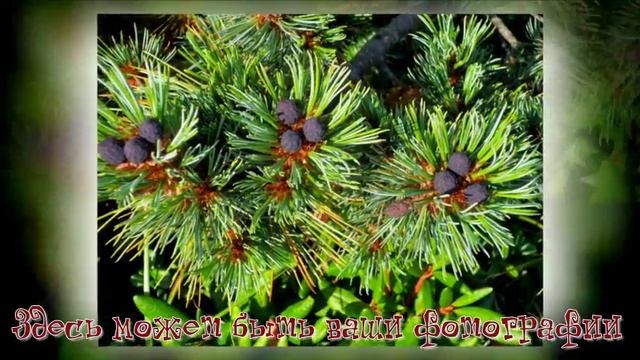 Поход на пик Черского