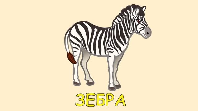 УЧИМ ЖИВОТНЫХ