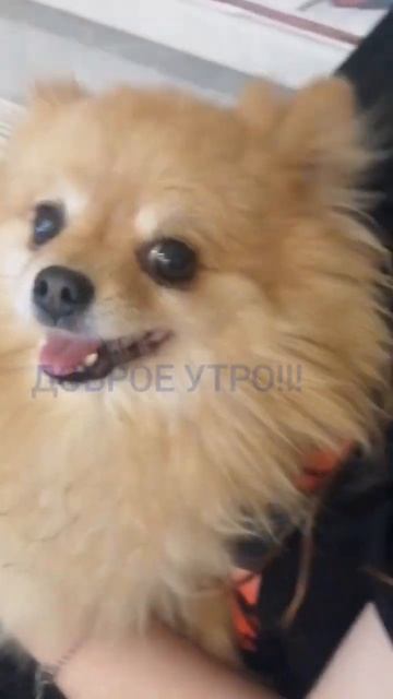 4fd89e205c85508731289619476600f6