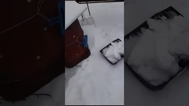 Бабушкин помощник.Наш Кирюша с удовольствием убирает снег.