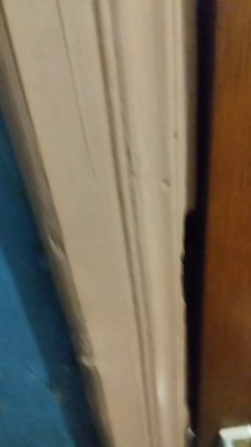 Лучший щит в однушку.