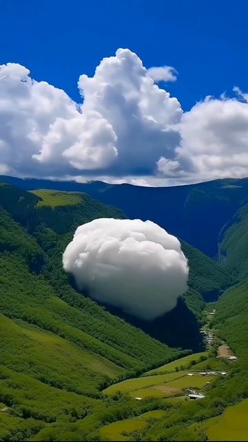 Удивительное явление природы #природа