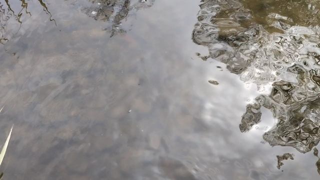 17.05.25г.р.Беспута 🎣 🏕️ ☀️