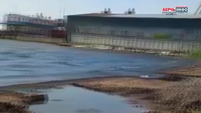 Как «Черепашку» от водорослей почистили - керчанка