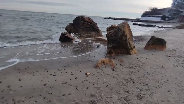 Одесса ⚓ #уЧерногоМоря ✨ Декабрь 2024