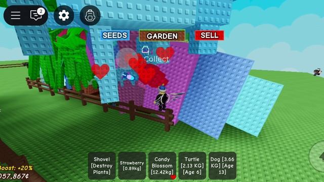 супер кенди блосы