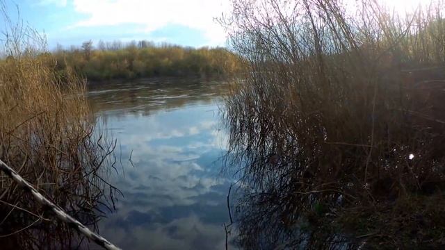 Поисковый магнит 2021. Гора убийца.