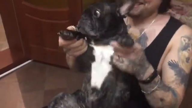 Пустите меня на танцпол Рудольф