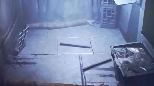 0ea7bef0ecb06ba635642f87fc77bd48