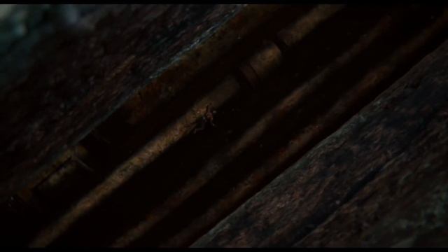 Человек муравей впервые надевает Костюм ⁄ Человек му?