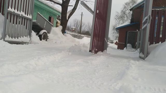 Снег Снежок!