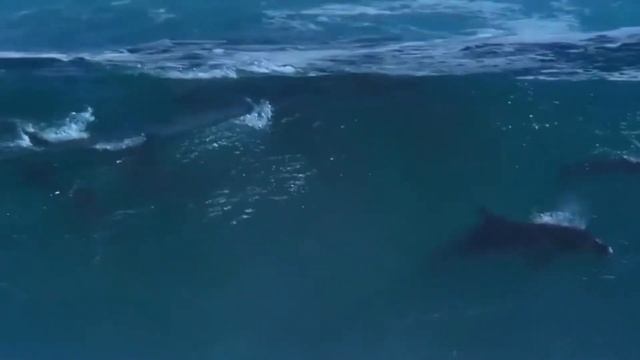 Георгий Шлифер 