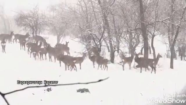 Cc43bf185789c2cb54933fdddf70c63b