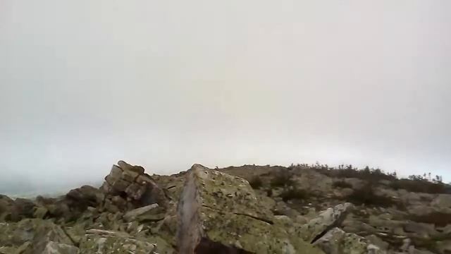 Поймали за хвостик тучку