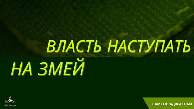 Власть наступать на змей | Самсон Аджикоби | 13.02.2022
