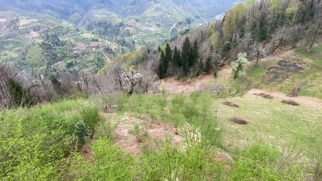 261104225f7e45584a15459e168061a2