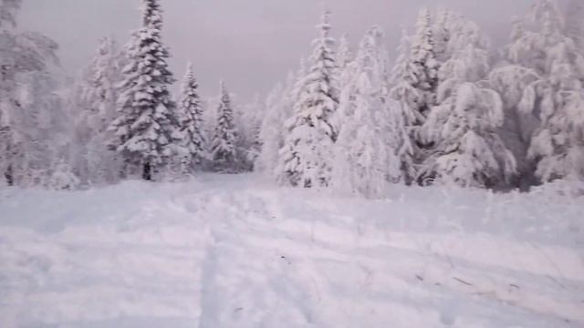 Панорама поляны Старик камень