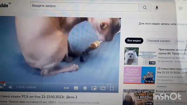 Экспертиза 25выставкаРСА.  Судья Комарова Н Е. Гранд- Анита Екатерина Великая